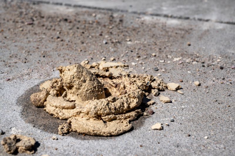 Top Foundation Repair Companies in Sterling Heights, MI